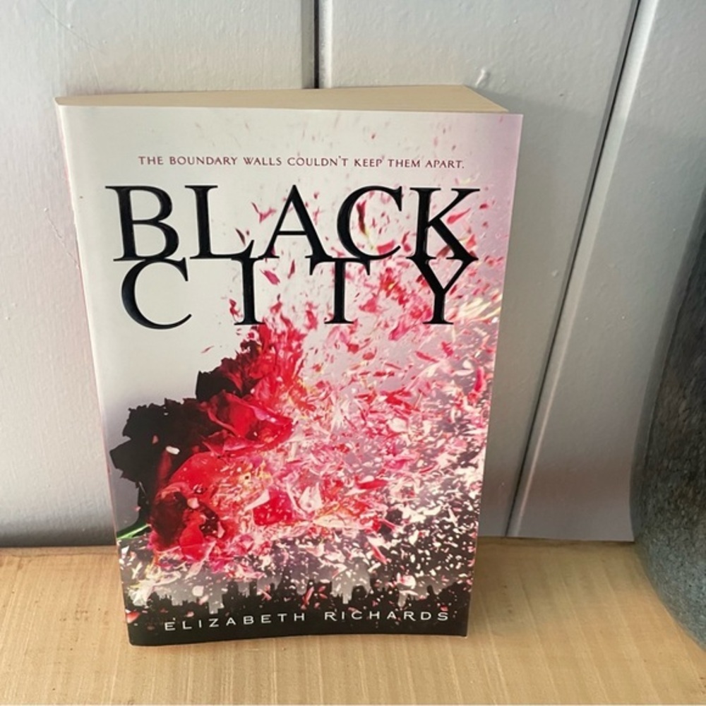 LAST CHANCE Teen Book Black City Paperback Forbidden Romantasy Action Fantasy